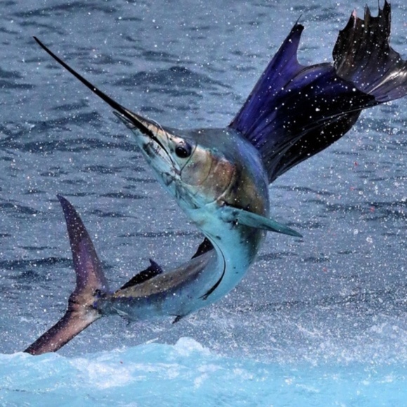 VINTAGE Swordfish Mens Fish Belt Buckle! GQ Marlin - Picture 7 of 8